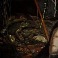 SOLD ~ Haliburton Frogs ~ Oil on canvas 16x16
